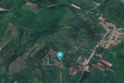 Teren de 195 Hectare Arabil in Cincu, Bra?ov - 4