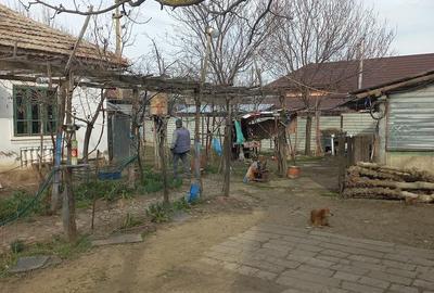 Casă cu Teren 3000 Mp în Bârca - 3