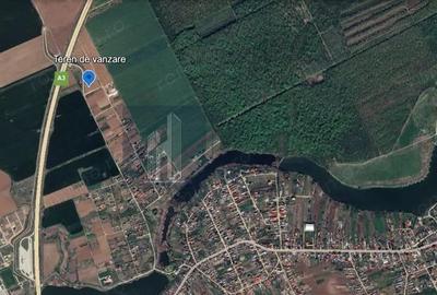 Teren de vanzare | Moara Vlasiei - 3