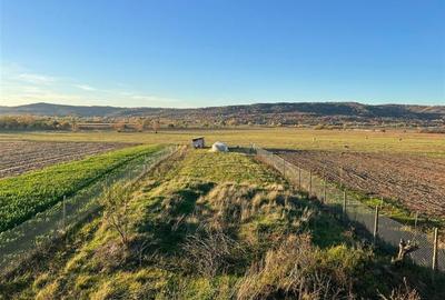 RECO Casa Osorhei zona deosebita - 5