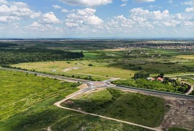 Teren Construcții intravilan de 625 mp, în Moșnița Veche - 3