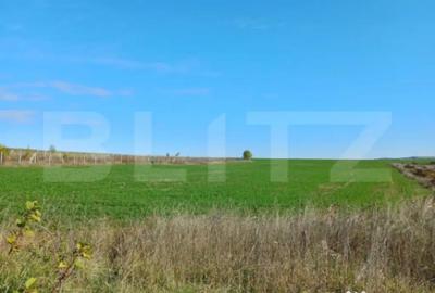 Teren de 2877 mp, în Copăceni - 1