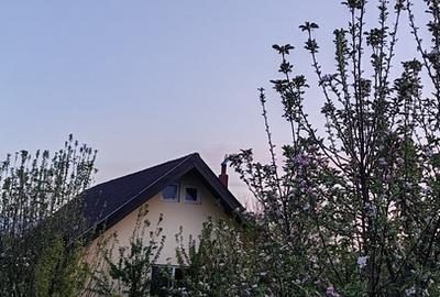 Dolj, Galicea Mare - 17