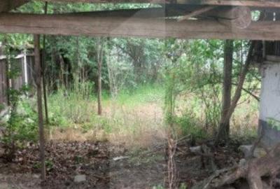 Blitz va ofera spre vanzare o casa cu teren generos in Cer - 4