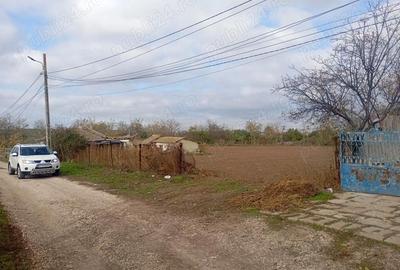 Teren de 900 mp, în Corbu - 3