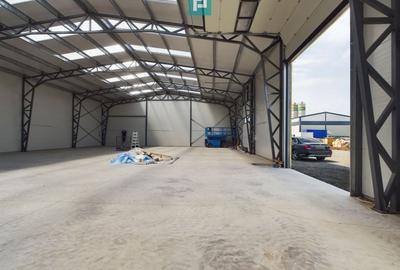Hală nouă în zona industrială Sânandrei - 4