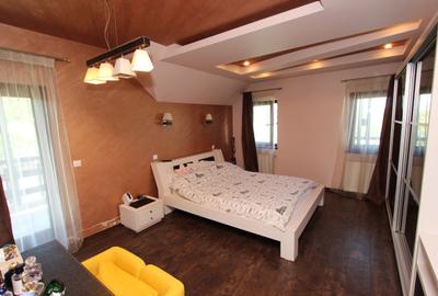 Vila zona Tomesti-Trei Fantani - 11