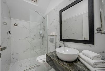 Vindem Afacerea ! Mini Hotel + Cafenea/ Restaurant ! Parcul Carol ! - 56