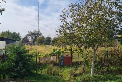 Casa caramida plus o casa de vaiuga - teren generos 1400 mp - doua fronturi stra - 4