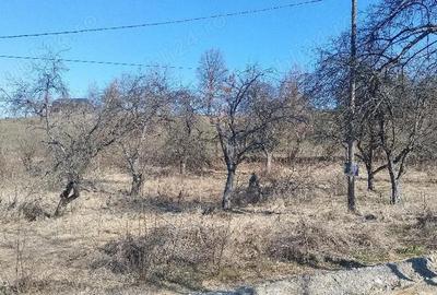 Teren de 1600 mp, în Vișeu de Mijloc - 5
