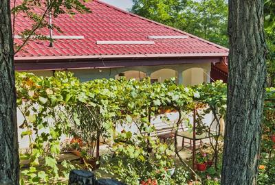 Casa cu teren de vanzare in Rugionasa iasi - 9