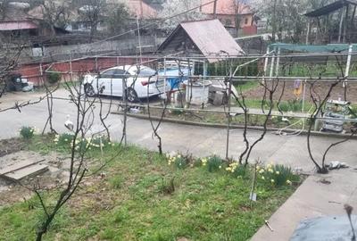 Casă cu 3 camere cu Teren 1558 Mp în Central - 5