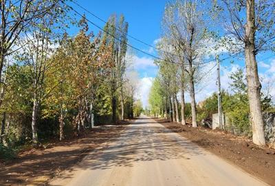 Teren intravilan de 1000 mp, în Izvorani