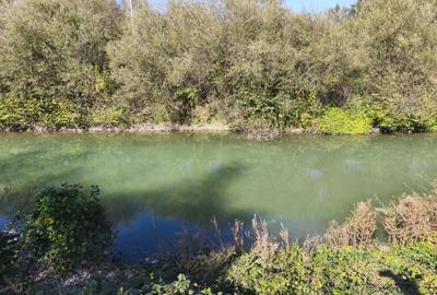 Teren imprejmuit cu iaz indiguit, 7200mp, Fratautii Vechi, R - 6