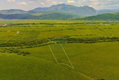 Teren 10,800mp Rasnov / Drumul DN73 - 16