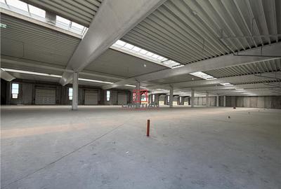 Spațiu comercial, de 2,400 mp, în Chitila - 5