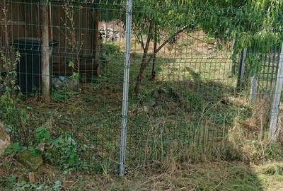 Casă cu 2 camere în Tisa - 1