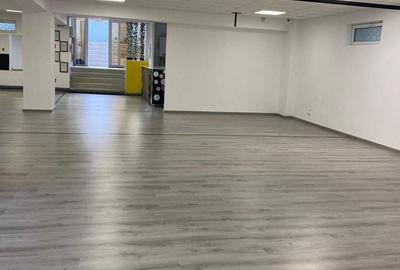 Spațiu comercial, de 300 mp, în Cantacuzino - 16