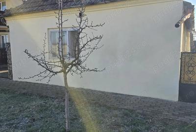 Casă cu 2 camere cu Teren 900 Mp în Covaci - 5