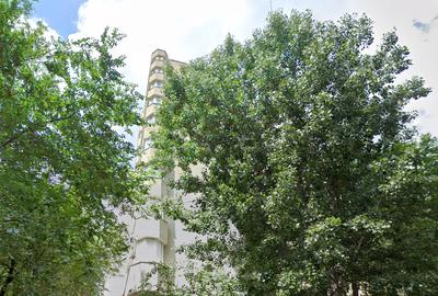 Apartament cu 2 camere decomandat în Basarabia