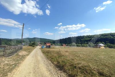 Casa vacanta 5 camere Paltinoasa, zona excelenta, in circuit turistic! - 14