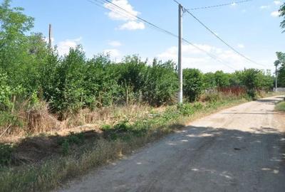 Casă cu 1 camere cu Teren 2832 Mp în Ciulnița - 5