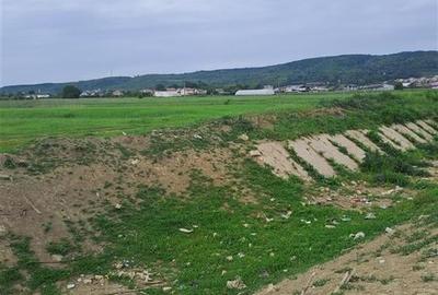 De vanzare teren Stefanesti zona Sticlelor, intravilan, 4200 mp - 2