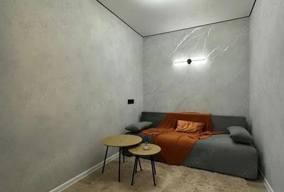 Apartament cu 2 camere decomandat în Lipovei - 4