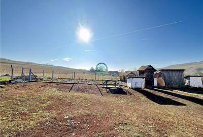 Casa cu teren de 5400 mp intravilan de vanzare, loc. Dileu Vechi - 4