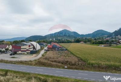 Teren de 790 mp, în Baciu - 9