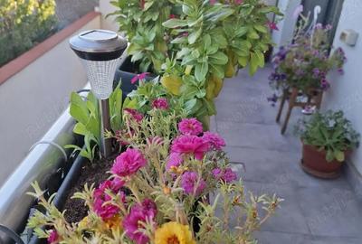 Apartament cu 4 camere decomandat în 13 Septembrie - 2