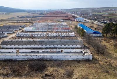 Teren Construcții intravilan de 39600 mp, în Traian - 9