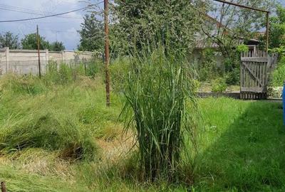 Casă cu 5 camere în Gavojdia - 4