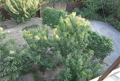 Casă cu 2 camere cu Teren 425 Mp în Măgurele - 2