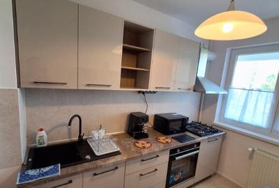 Apartament 2 camere 54 mp strada Aliorului - 4