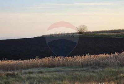 Teren de 30077 mp, în Stroiești - 1