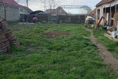 Casă cu 2 camere cu Teren 4200 Mp în Bogei - 3