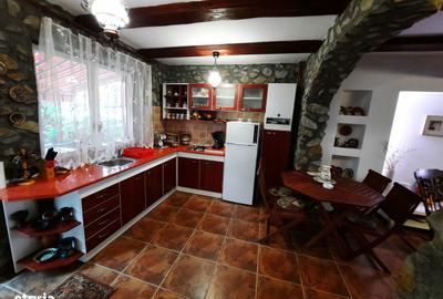 Casă cu 3 camere cu Teren 390 Mp în Runcu - 8