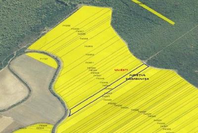 Teren extgravilan agricol Uliesti, ID: R2263433 - 6