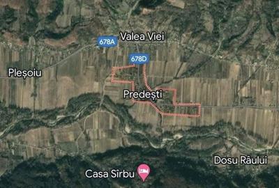 Casă cu 3 camere în Nicolae Bălcescu - 3