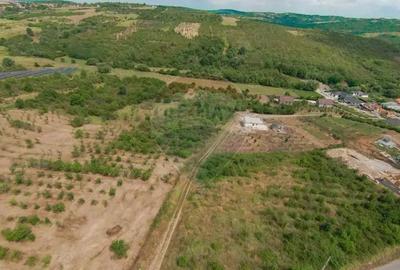 Teren intravilan 1,163mp de vanzare in Saldabagiu De Munte - 1