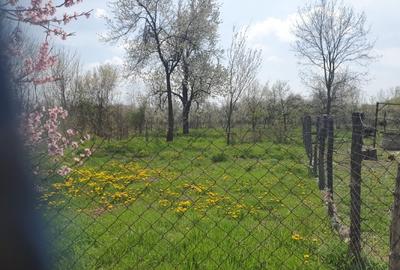 Teren Construcții intravilan de 9300 mp, în Tomșani - 2