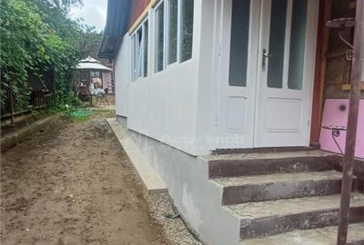 Casa de in Saliste aproape de Transalpina - 3