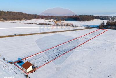 Spațiu comercial, în Sânpetru
