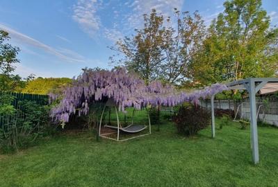 SNAGOV SAT OAZA DE LINISTE SI RELAXARE LINGA PADURE-TEREN 1240MP - 3