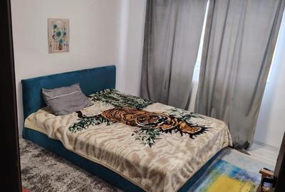 Apartament cu 2 camere decomandat în Remetea Mare - 2