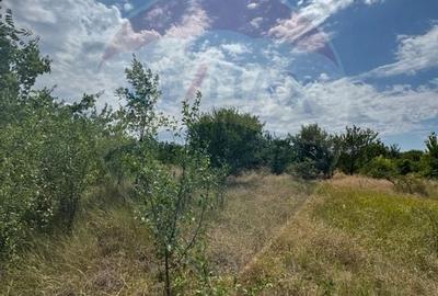 Teren 6,080mp Craiova / Aleea 5 Primaverii - 7