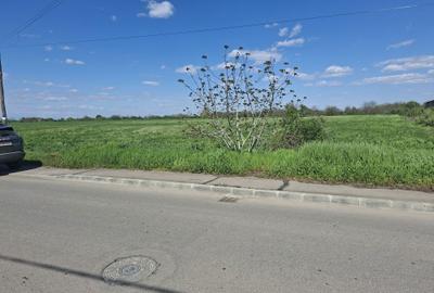 Teren de 30000 mp, în Exterior Vest - 3