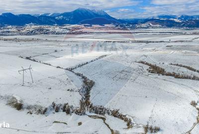 Teren de 8329 mp, în Central