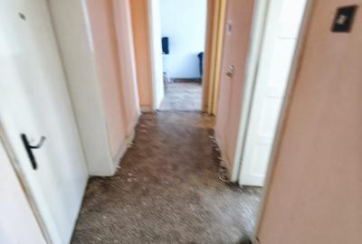Apartament cu 2 camere decomandat în Sud - 4